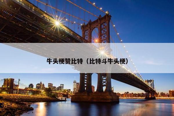 牛头梗赞比特（比特斗牛头梗）