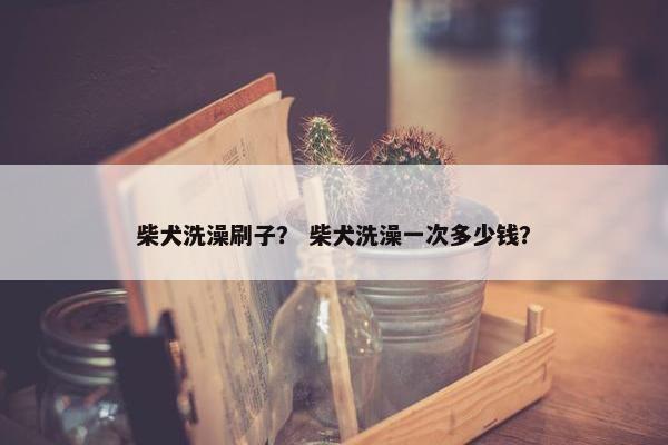 柴犬洗澡刷子？ 柴犬洗澡一次多少钱？