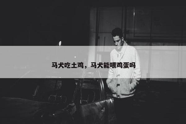 马犬吃土鸡，马犬能喂鸡蛋吗