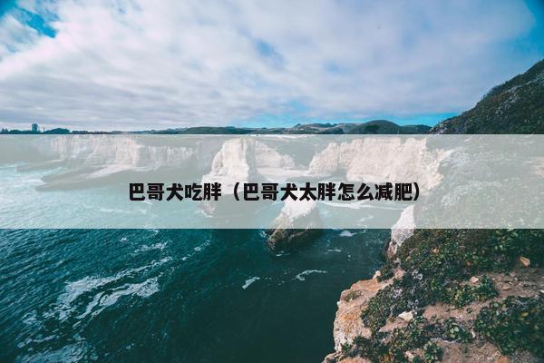 巴哥犬吃胖（巴哥犬太胖怎么减肥）