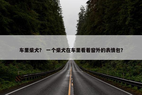 车里柴犬？ 一个柴犬在车里看着窗外的表情包？