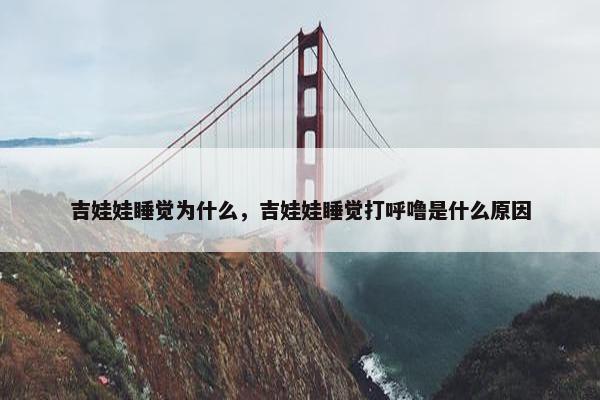 吉娃娃睡觉为什么，吉娃娃睡觉打呼噜是什么原因