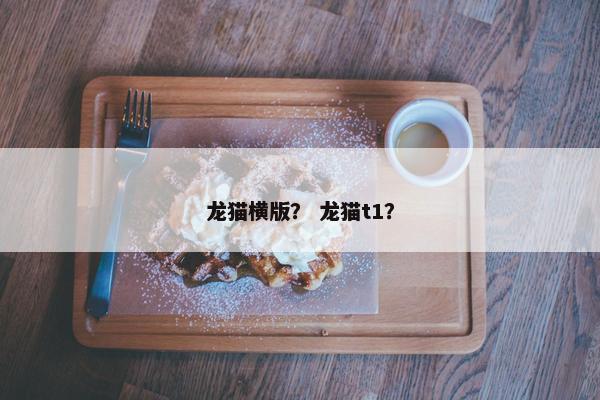 龙猫横版？ 龙猫t1？
