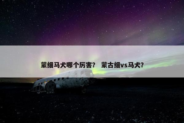 蒙细马犬哪个厉害？ 蒙古细vs马犬？