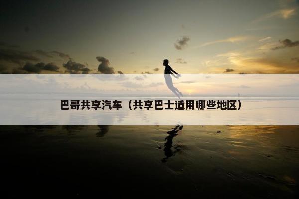 巴哥共享汽车（共享巴士适用哪些地区）