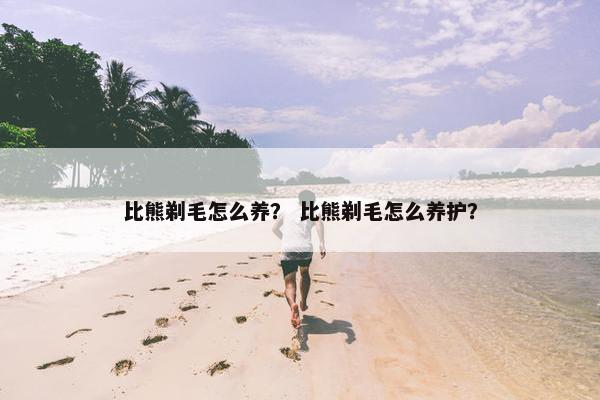 比熊剃毛怎么养？ 比熊剃毛怎么养护？