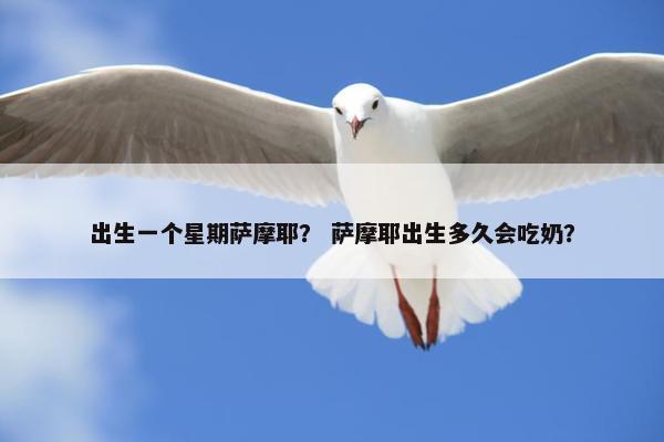 出生一个星期萨摩耶？ 萨摩耶出生多久会吃奶？