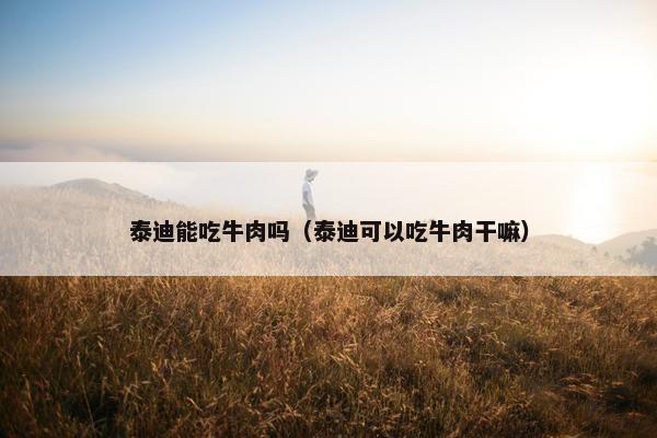 泰迪能吃牛肉吗（泰迪可以吃牛肉干嘛）