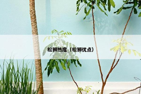 松狮热度（松狮优点）