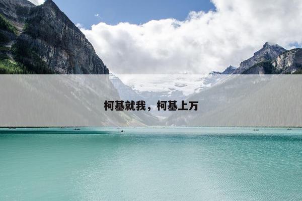 柯基就我，柯基上万