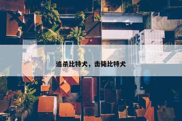 追杀比特犬，击毙比特犬