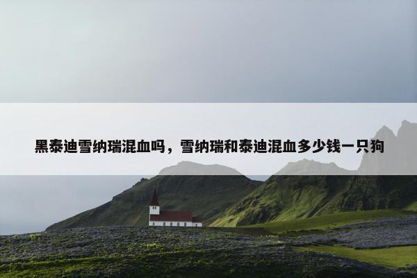 黑泰迪雪纳瑞混血吗，雪纳瑞和泰迪混血多少钱一只狗