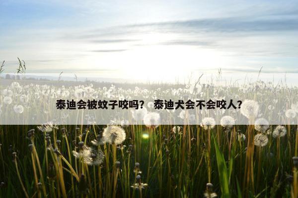 泰迪会被蚊子咬吗？ 泰迪犬会不会咬人？