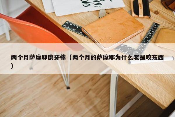 两个月萨摩耶磨牙棒（两个月的萨摩耶为什么老是咬东西）