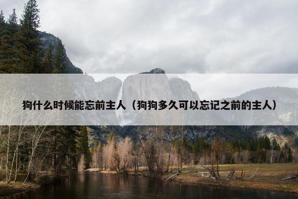 狗什么时候能忘前主人（狗狗多久可以忘记之前的主人）