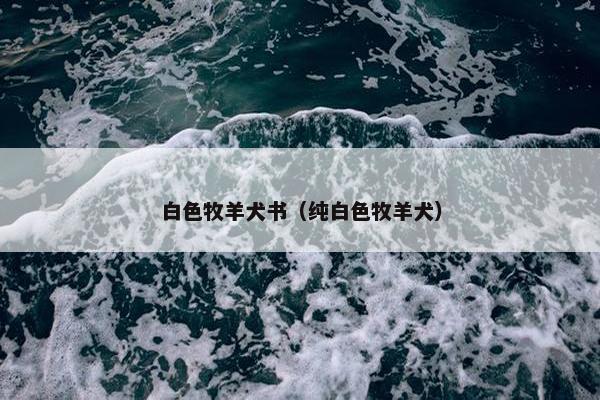 白色牧羊犬书（纯白色牧羊犬）