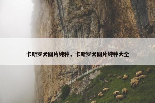 卡斯罗犬图片纯种，卡斯罗犬图片纯种大全