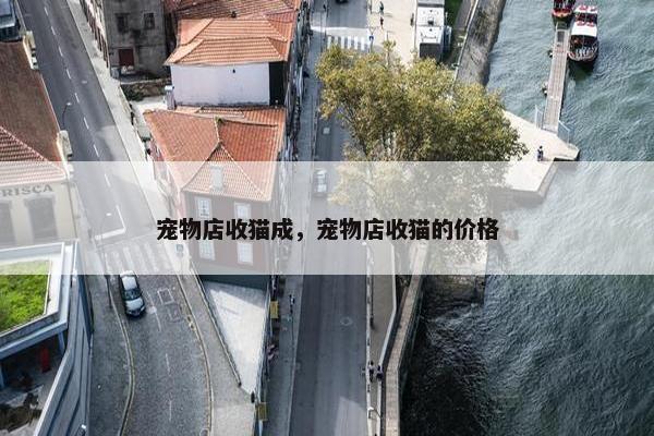 宠物店收猫成，宠物店收猫的价格