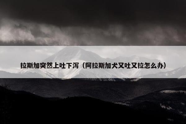拉斯加突然上吐下泻（阿拉斯加犬又吐又拉怎么办）