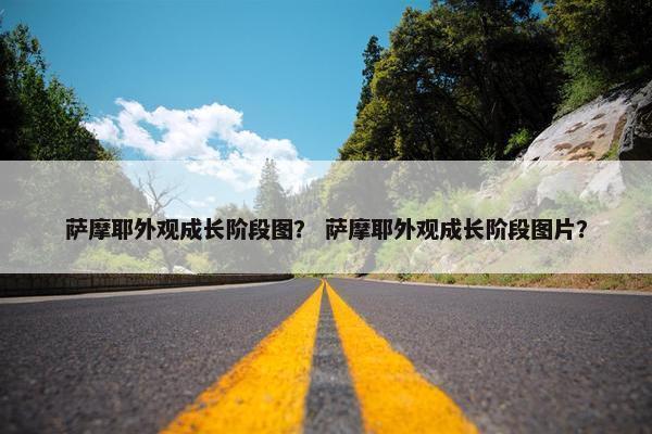 萨摩耶外观成长阶段图？ 萨摩耶外观成长阶段图片？
