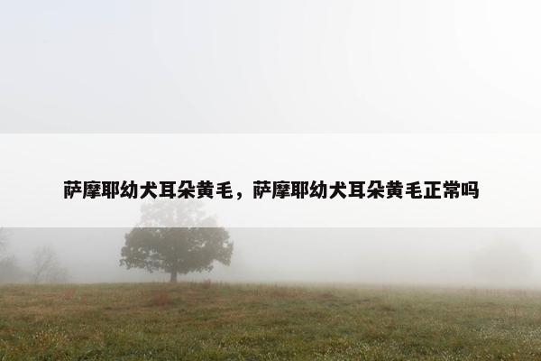 萨摩耶幼犬耳朵黄毛，萨摩耶幼犬耳朵黄毛正常吗
