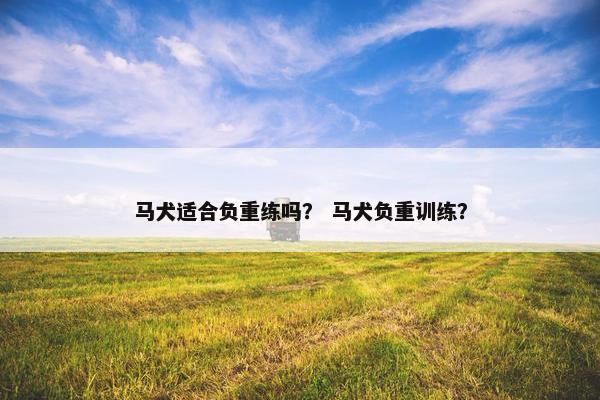 马犬适合负重练吗？ 马犬负重训练？