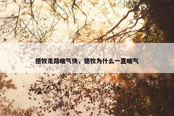 德牧走路喘气快，德牧为什么一直喘气