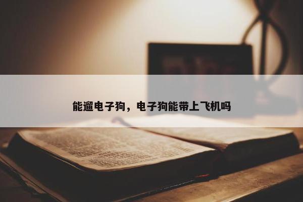 能遛电子狗，电子狗能带上飞机吗