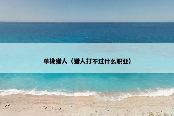 单挑猎人（猎人打不过什么职业）