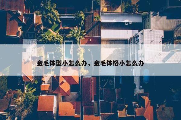 金毛体型小怎么办，金毛体格小怎么办