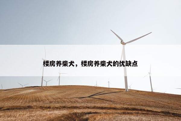 楼房养柴犬，楼房养柴犬的优缺点