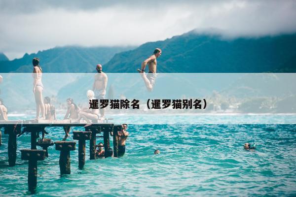 暹罗猫除名（暹罗猫别名）