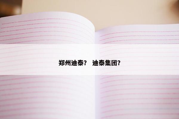 郑州迪泰？ 迪泰集团？