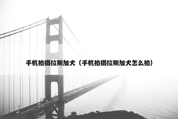 手机拍摄拉斯加犬（手机拍摄拉斯加犬怎么拍）
