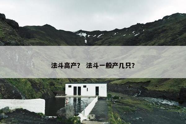 法斗高产？ 法斗一般产几只？