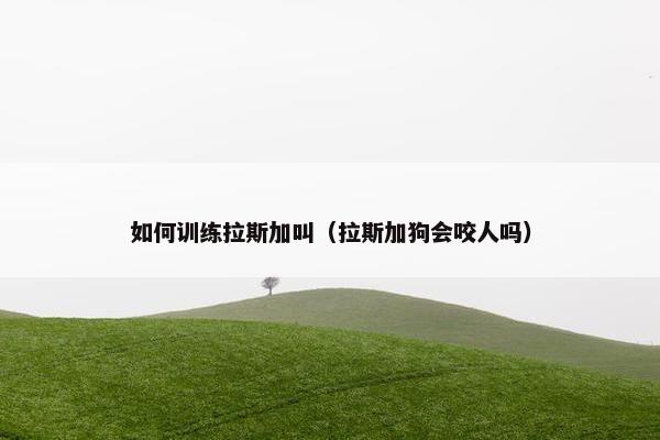 如何训练拉斯加叫（拉斯加狗会咬人吗）