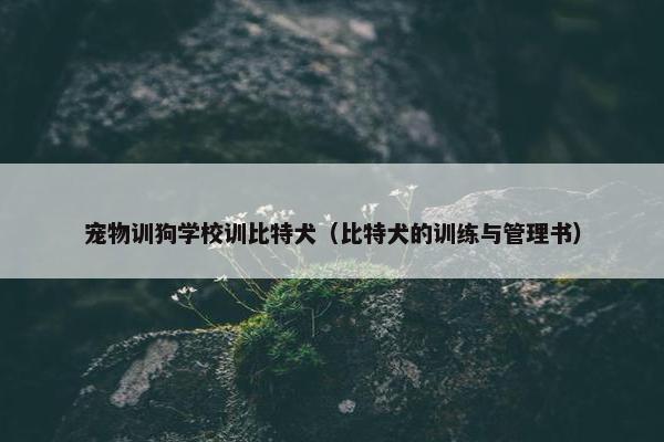 宠物训狗学校训比特犬（比特犬的训练与管理书）
