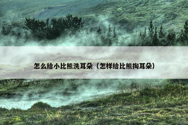 怎么给小比熊洗耳朵（怎样给比熊掏耳朵）