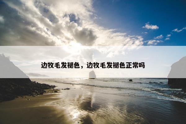 边牧毛发褪色，边牧毛发褪色正常吗