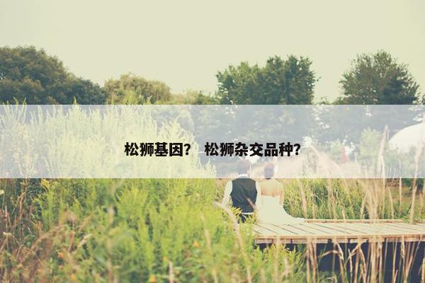松狮基因？ 松狮杂交品种？
