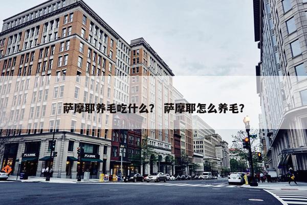 萨摩耶养毛吃什么？ 萨摩耶怎么养毛？