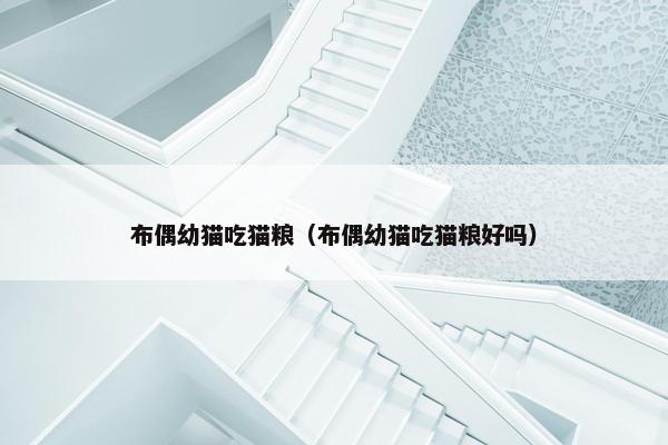 布偶幼猫吃猫粮（布偶幼猫吃猫粮好吗）