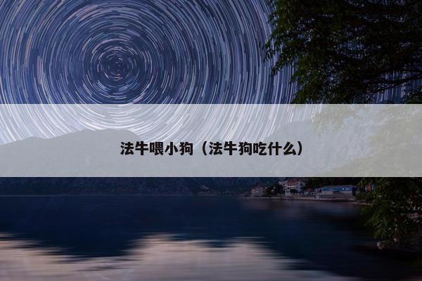 法牛喂小狗（法牛狗吃什么）