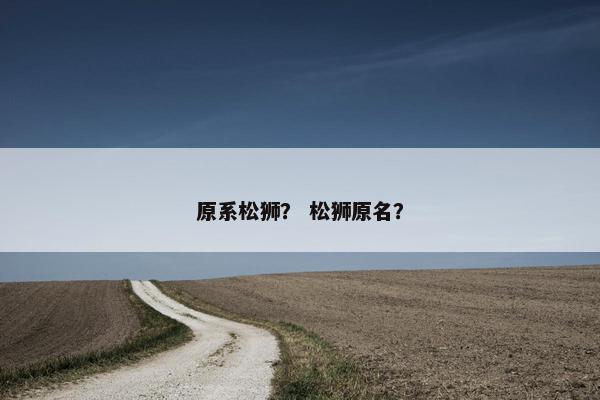 原系松狮？ 松狮原名？