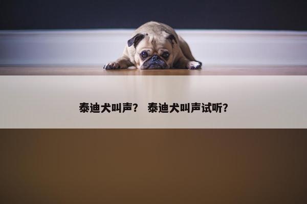 泰迪犬叫声？ 泰迪犬叫声试听？