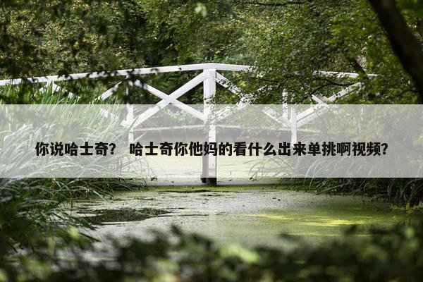 你说哈士奇？ 哈士奇你他妈的看什么出来单挑啊视频？