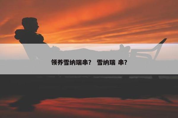 领养雪纳瑞串？ 雪纳瑞 串？