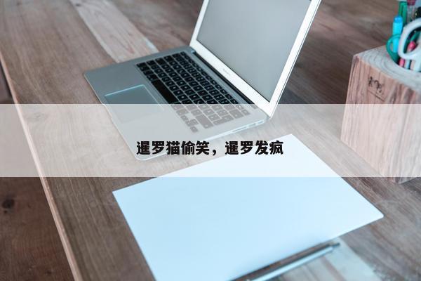暹罗猫偷笑，暹罗发疯