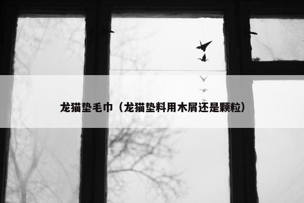 龙猫垫毛巾（龙猫垫料用木屑还是颗粒）