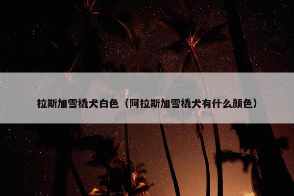 拉斯加雪橇犬白色（阿拉斯加雪橇犬有什么颜色）